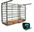 Báscula ganadera con indicador Torrey PG2000 + WI, modelo PG2000 + WI; imagen de familia